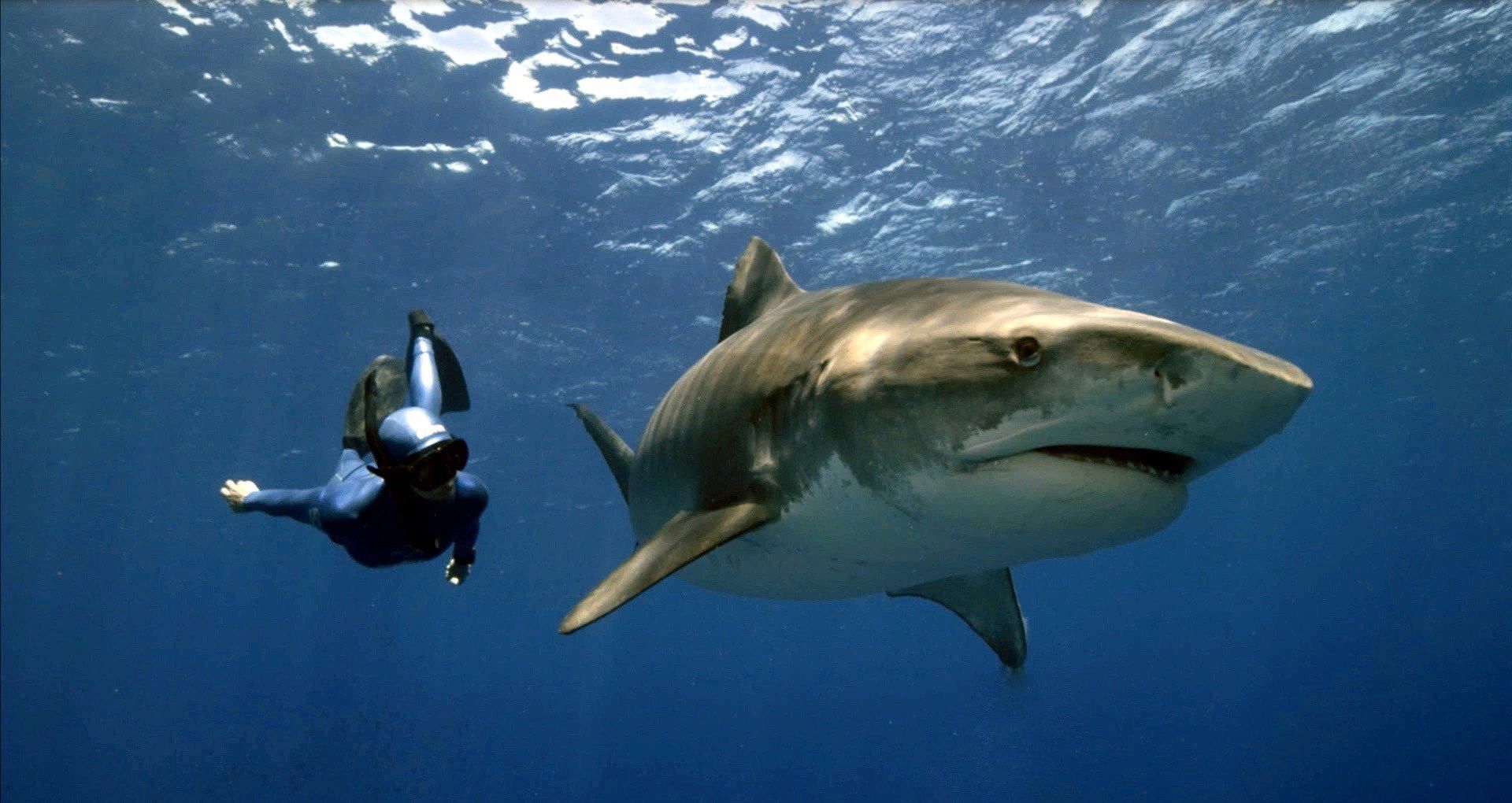 Travel Unexplained with Kinga Philipps